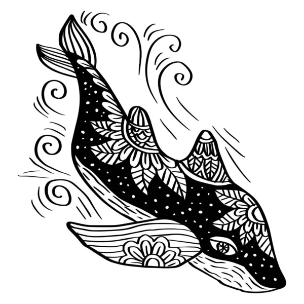 Zentgen Kreslení Mořského Žraloka Ilustrace — Stockový vektor