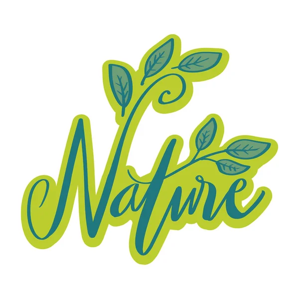 标志排字设计 用绿叶笔写的自然语词 — 图库矢量图片