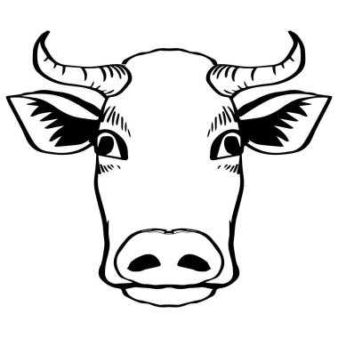 Boğa kafasının vektör görüntüsü. Logo konsepti. Vektör illüstrasyonu