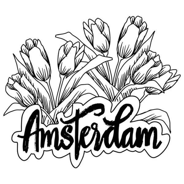 Amsterdam el yazısı lale çiçekleriyle yazılmış. Siyah ve beyaz. Vektör illüstrasyonu