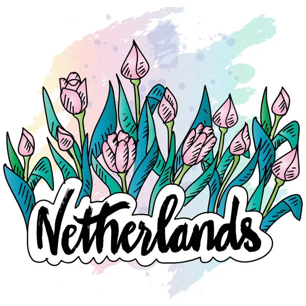  Hollanda 'nın el yazısı lalelerle çizilmiş. Vektör illüstrasyonu.