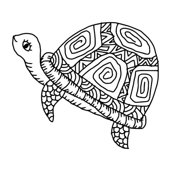 Yetişkinler için kaplumbağa boyama sayfası. Karalama biçiminde vektör illüstrasyonu.