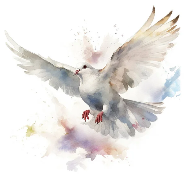 그림을 그리며 날아가는 비둘기 — 스톡 사진