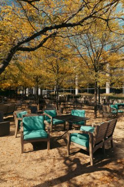 New York parkında sonbahar yeşillikleri olan ağaçların altında bistro masaları ve koltuklar.