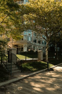 autumn trees near metallic fence and building in New York City 