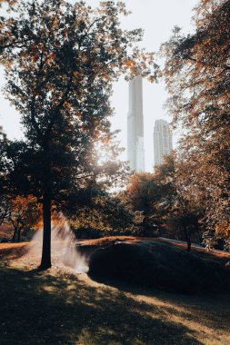 New York şehrinin bulanık arka planında yeşil ağaçları ve gökdelenleri olan Central Park