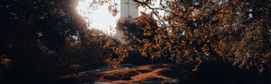 Central Park in New York city with trees and lawn in autumn, banner