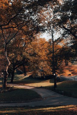 Central Park with walkways and autumn trees in New York City 