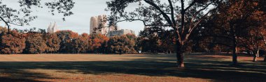 green lawn with trees and skyscrapers on background in New York City, banner