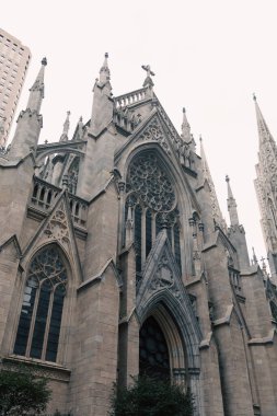 New York 'taki ağaçların yakınındaki antik Aziz Patrick Katedrali' nin alçak açılı görüntüsü