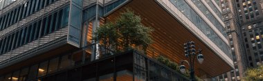 green plants on terrace of contemporary building in Manhattan district of New York City, banner
