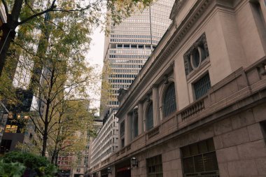 New York 'ta sonbahar ağaçlarının yanında taş desenli gri bir bina.