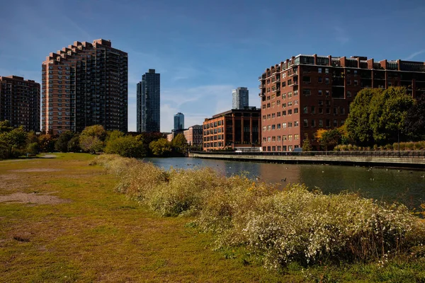Edificios Urbanos Cerca Río Césped Verde Ciudad Nueva York — Foto de Stock
