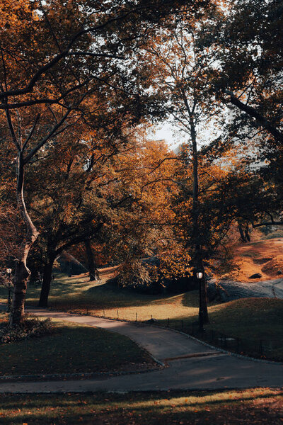 Центральный парк с пешеходными дорожками и осенними деревьями в Нью-Йорке 