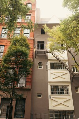 New York 'un kentsel caddesinde sonbahar ağaçları yakınında camları ve beyaz balkonları olan taş evler.