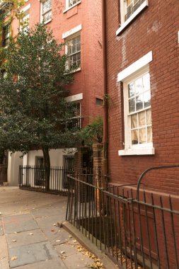 New York 'ta Brooklyn Heights bölgesinin kentsel caddesinde ağaçların yanında beyaz pencereli tuğla evler.