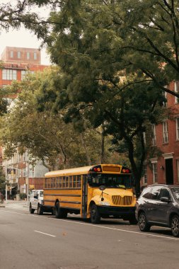 NEW YORK, USA - OCTOBER 13, 2022: yellow school bus under trees of urban street in Brooklyn Height district