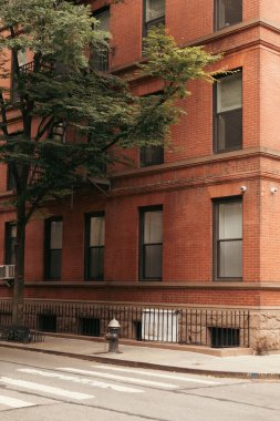 New York 'ta tuğla binanın yanında ağaç ve yangın musluğu var.