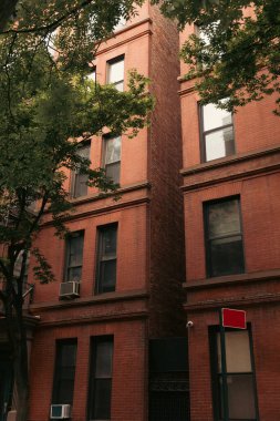 Trees near brick buildings on brooklyn heights in New York City