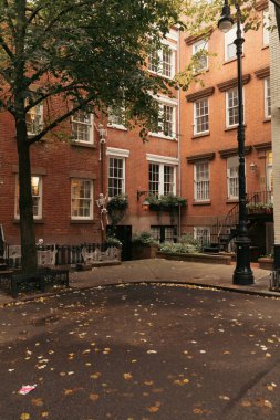 Fallen leaves near brick houses on street in New York City