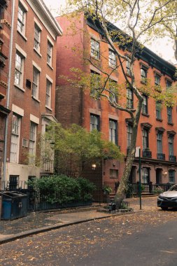 Urban street with brick houses and plants in New York City
