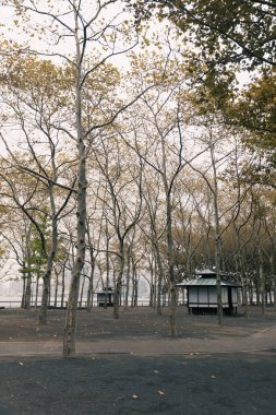 Trees in empty autumn park in New York City clipart
