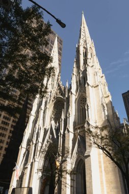 Low angle view of ancient St. Patrick's Cathedral on street in New York City