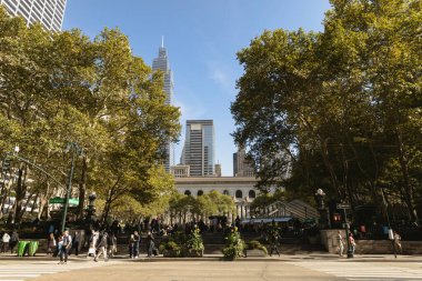 NEW YORK, USA - OCTOBER 11, 2022: Trees on urban street in Manhattan at daytime 