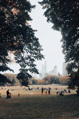 NEW YORK, ABD - 11 Ekim 2022: İnsanlar Central Park 'ta vakit geçiriyor 