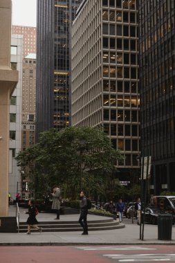 NEW YORK, ABD - 11 Ekim 2022: Manhattan kentsel caddelerdeki binalar arasındaki ağaç 
