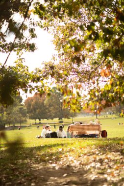 NEW YORK, ABD - 11 Ekim 2022: İnsanlar Central Park 'ta piknik yaparken zaman geçiriyorlar 