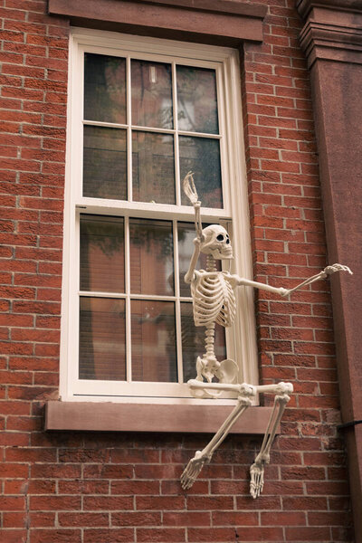 spooky Halloween skeleton on white window of brick house in New York City