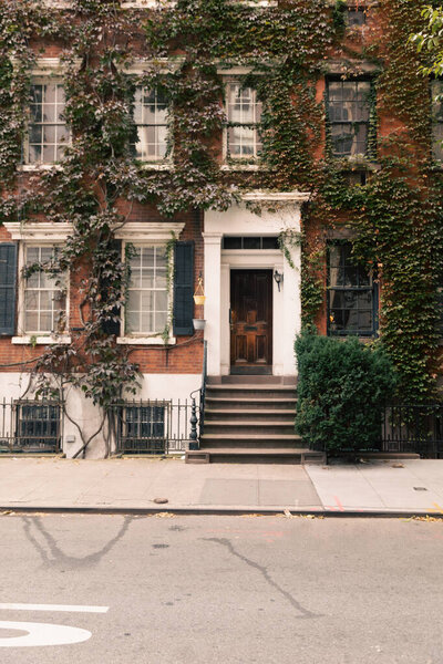 house with white windows and green ivy on urban street in Brooklyn Heights district of New York City