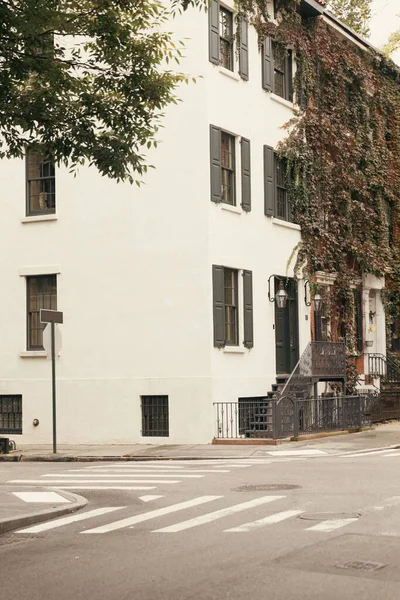 Building with ivy plant on white facade on street in New York City