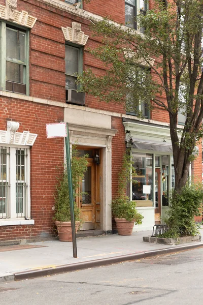 Plants and pointer near brick building on street in New York City
