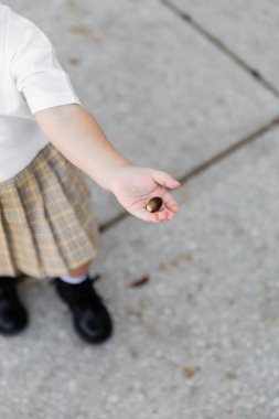 Etek giymiş, elinde palamut tutan ve sokakta dikilen küçük bir kız çocuğu. 