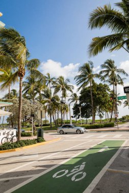 MIAMI, FLORIDA, USA - DECEMBER 15, 2022: green palm trees next to road with modern car  clipart
