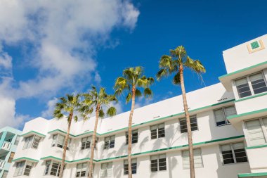 Miami 'de mavi gökyüzüne karşı modern binanın yakınında büyüyen yeşil palmiye ağaçları 
