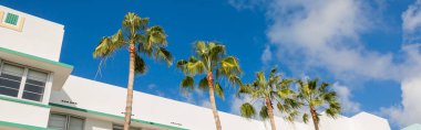Miami 'de mavi gökyüzüne karşı modern binanın yakınında büyüyen yeşil palmiye ağaçlarının düşük açılı görüntüsü, afiş 