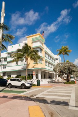 Yolun yanında büyüyen yeşil palmiye ağaçları ve Miami 'de modern apartman dairesi 