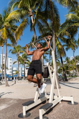 Şortlu Afro-Amerikan sporcusu Miami plajında barfiks çekiyor. 