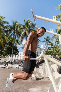 Mutlu Afro-Amerikan adam Miami sahilinde palmiye ağaçlarının yanında egzersiz yapıyor. 