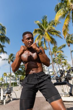 Güçlü ve üstsüz Afro-Amerikan dövüşçüsü Miami sahilinde egzersiz yapıyor. 
