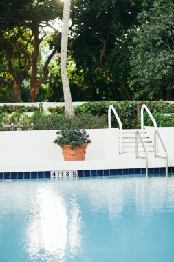 Lüks otel, açık havuz açık mavi su ve paslanmaz tırabzanları olan metal havuz merdiveni saksı bitkisi, bulanık arka plan, tatil ve tatil konsepti. 