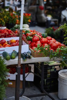 New York caddesindeki mevsimlik çiftçi pazarında taze sebze ve yeşillik çeşitleri