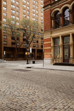 New York 'ta sonbahar manzarası kesişen yolda kırmızı tuğlalar ve ağaçlar.