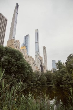 New York şehrindeki modern gökdelenlere karşı ağaç ve göl manzarası, sonbahar metropolü manzarası