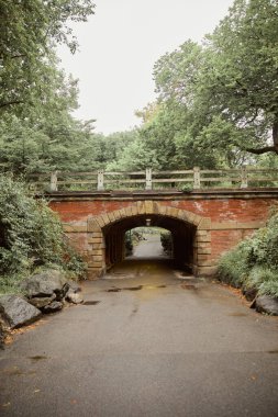 Tünelli taş köprü ve New York Central Park 'ta güz yapraklı ağaçlar, sonbahar sahnesi.