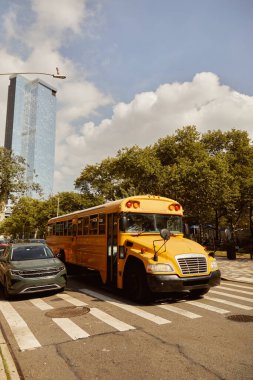 Sarı okul otobüsü ve arabalar New York 'taki yol boyunca yaprakları dökülen ağaçların yanında yaya geçidinde.