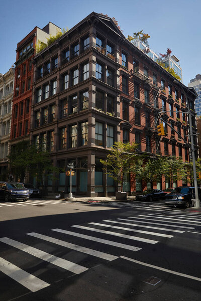 grey building and autumn trees on crossroad with traffic and pedestrian crossing in new york city